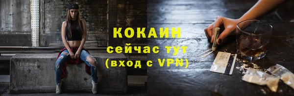 винт Инта
